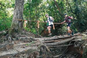 BIB: 
                            <button type="button" onclick="openModal(27744430)" class="btn btn-primary btn-sm float-right btn-popup" data-toggle="modal" data-target=".modal-high-quality">
                        <i class="fas fa-shopping-cart"></i> Add to Cart
                    </button>
                                            <button type="button" onclick="isThisMe(27744430, true)" class="btn btn-success btn-sm float-right btn-popup btn-isme hidden" data-toggle="tooltip" data-placement="bottom" title="นี่คือรูปของคุณใช่ไหม คลิกที่นี่เพื่อเอาเข้าอัลบั้ม">
                        <i class="fas fa-plus"></i> Add to album
                    </button>
                    <button type="button" onclick="isThisMe(27744430, false)" class="btn btn-warning btn-sm float-right btn-popup btn-isnotme hidden">
                        <i class="fas fa-ban"></i> Remove from album
                    </button>